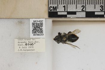 Media type: image;   Entomology 786147 Aspect: Labels